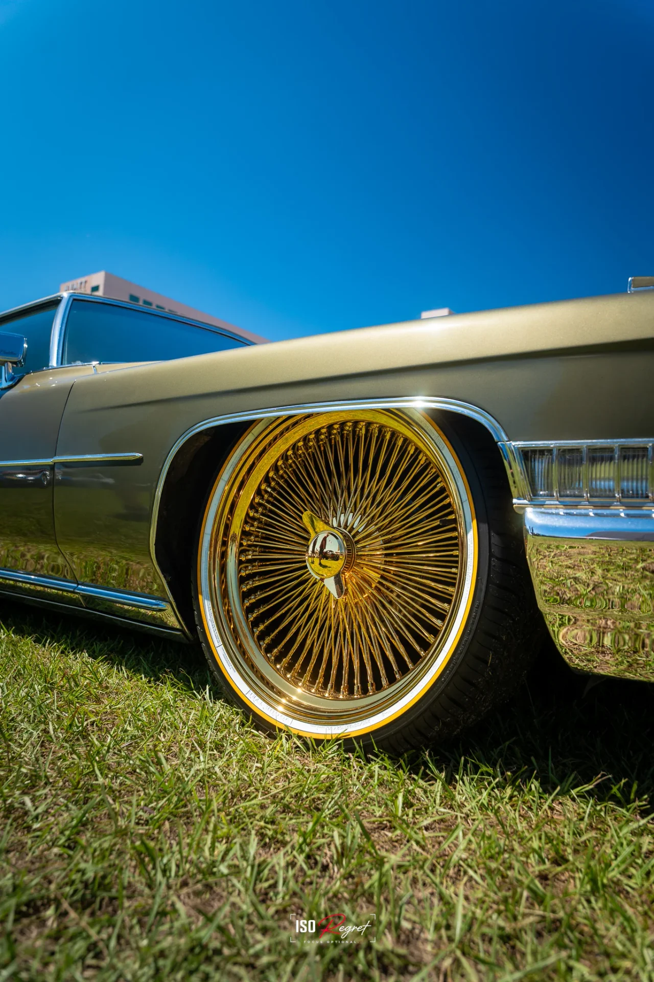 Endless Summer Showcase — photo 34
